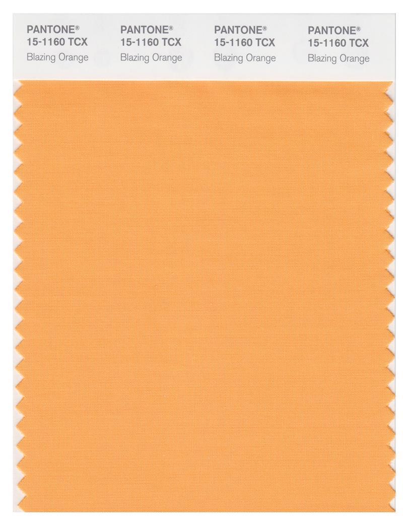 Pantone Smart 15-1160 TCX Color Swatch Card | Blazing Orange