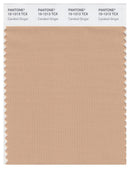 Pantone Smart 15-1213 TCX Color Swatch Card | Candied Ginger
