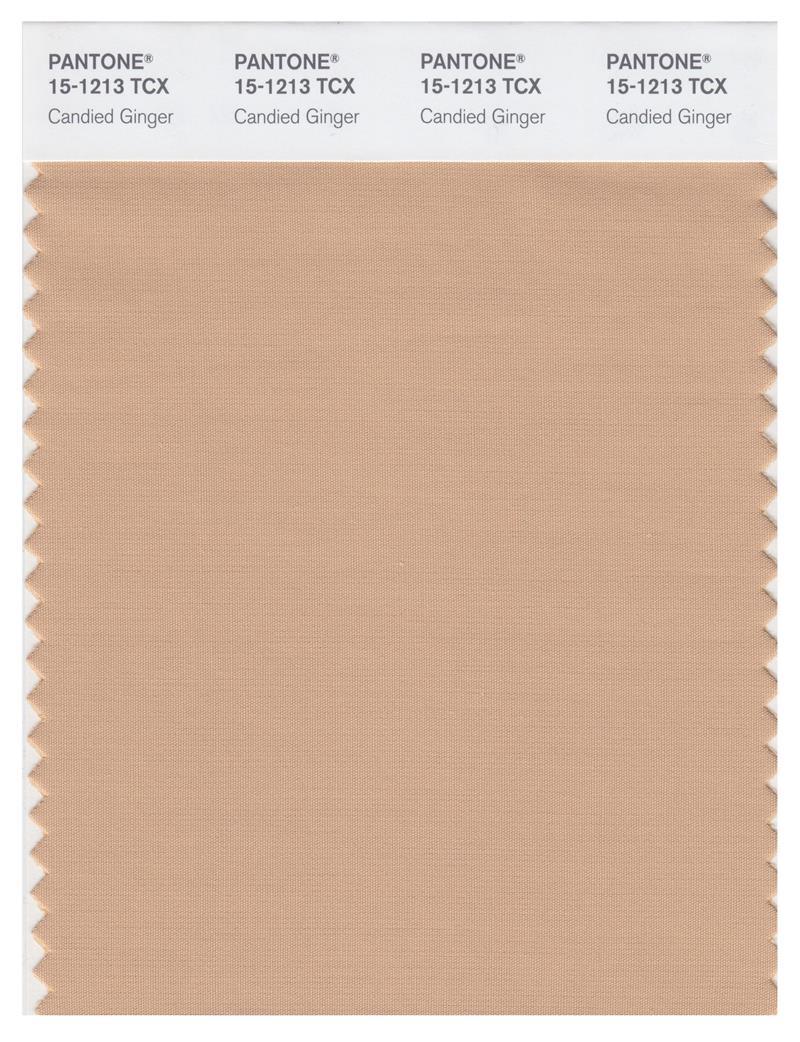 Pantone Smart 15-1213 TCX Color Swatch Card | Candied Ginger