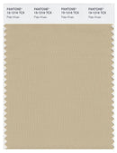 Pantone Smart 15-1216 TCX Color Swatch Card | Pale Khaki