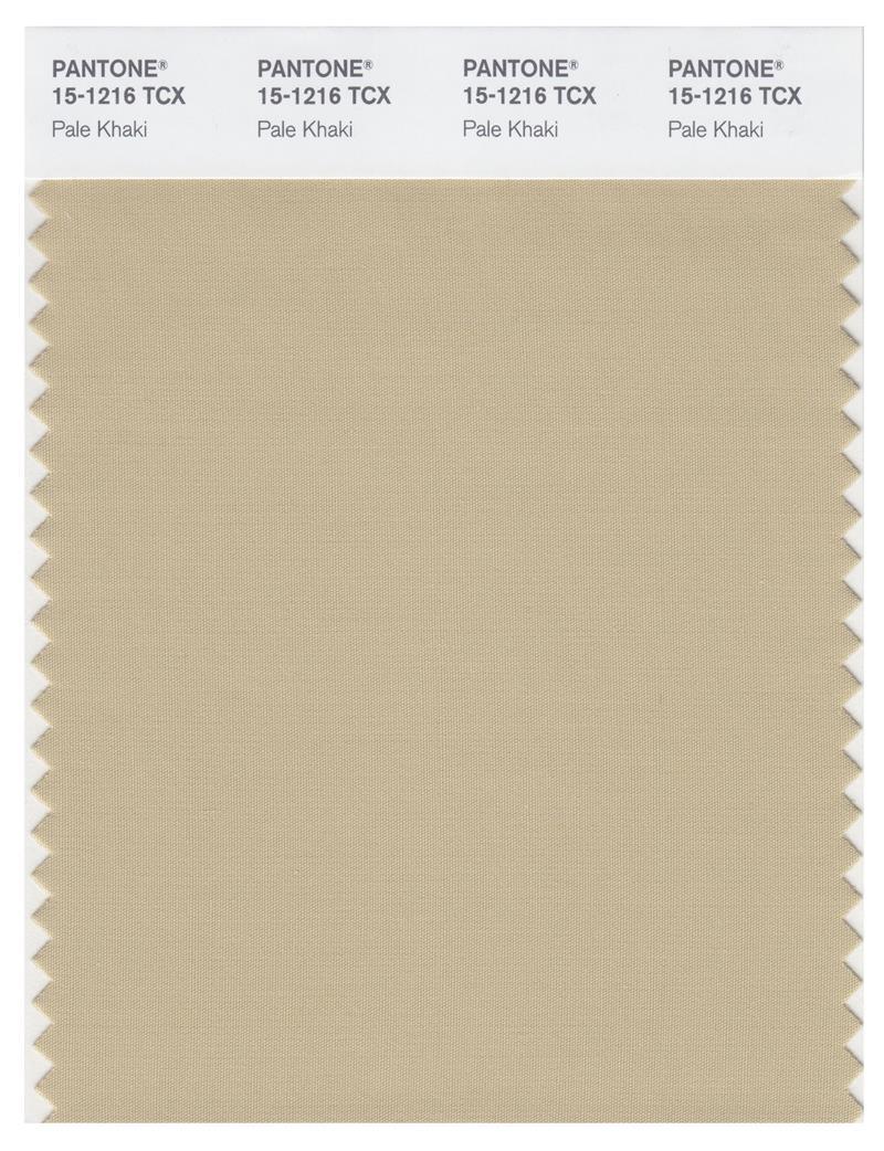 Pantone Smart 15-1216 TCX Color Swatch Card | Pale Khaki