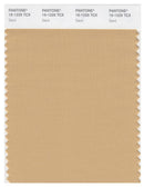 Pantone Smart 15-1225 TCX Color Swatch Card | Sand