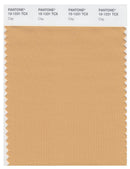 Pantone Smart 15-1231 TCX Color Swatch Card | Clay