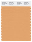 Pantone Smart 15-1234 TCX Color Swatch Card | Golden Earth