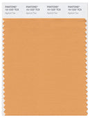 Pantone Smart 15-1237 TCX Color Swatch Card | Apricot Tan