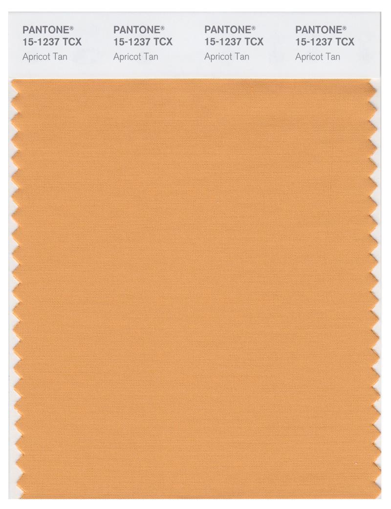 Pantone Smart 15-1237 TCX Color Swatch Card | Apricot Tan