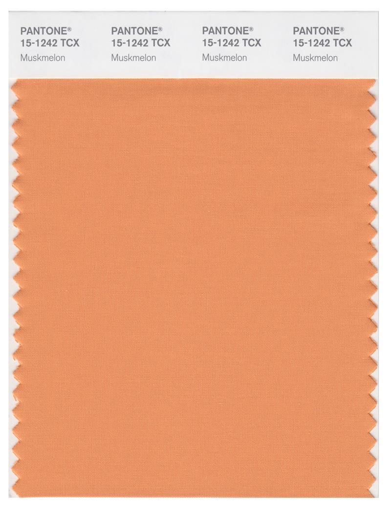 Pantone Smart 15-1242 TCX Color Swatch Card | Muskmelon