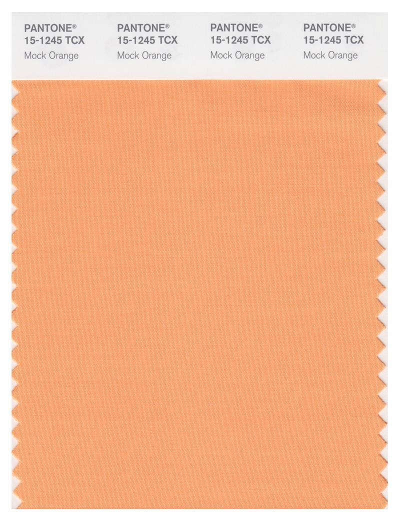 Pantone Smart 15-1245 TCX Color Swatch Card | Mock Orange