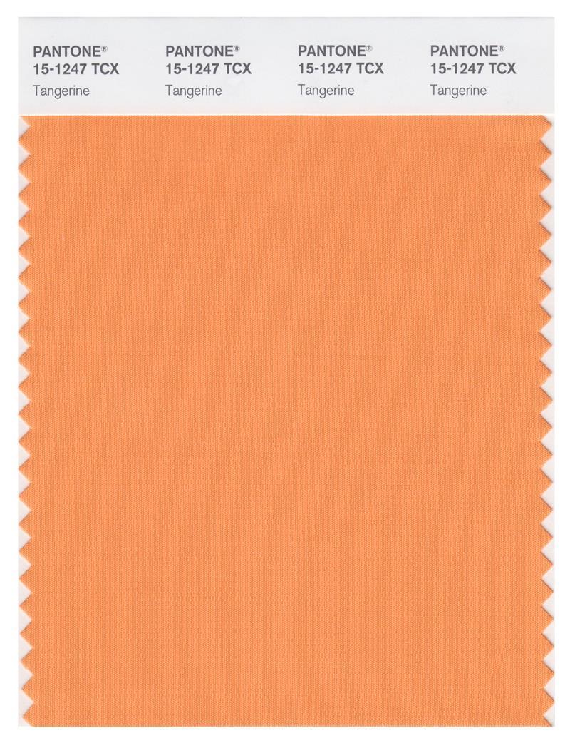 Pantone Smart 15 1247 TCX Color Swatch Card Tangerine Magazine Cafe pantone-smart-15-1247-tcx-color-swatch-card-tangerine-magazine-cafe