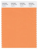 Pantone Smart 15-1247 TCX Color Swatch Card | Tangerine