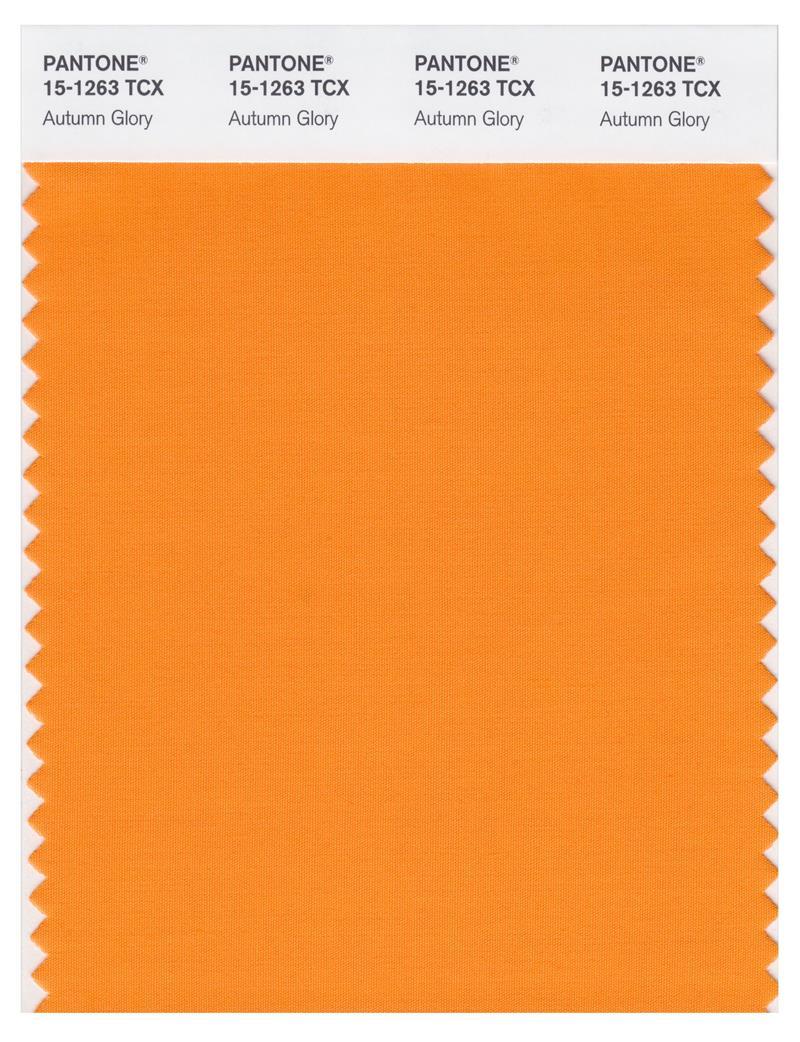 Pantone Smart 15-1263 TCX Color Swatch Card | Autumn Glory | Magazine ...