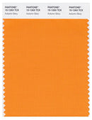 Pantone Smart 15-1263 TCX Color Swatch Card | Autumn Glory