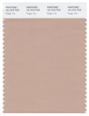 Pantone Smart 15-1315 TCX Color Swatch Card | Rugby Tan