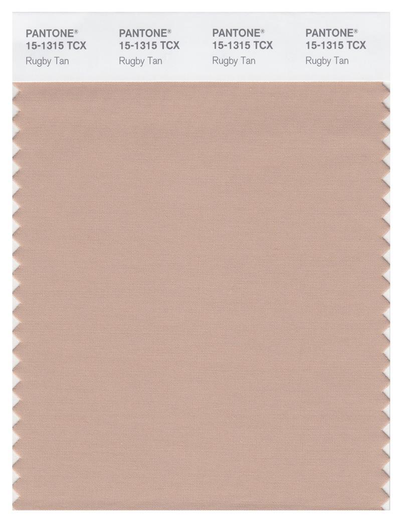 Pantone Smart 15-1315 TCX Color Swatch Card | Rugby Tan