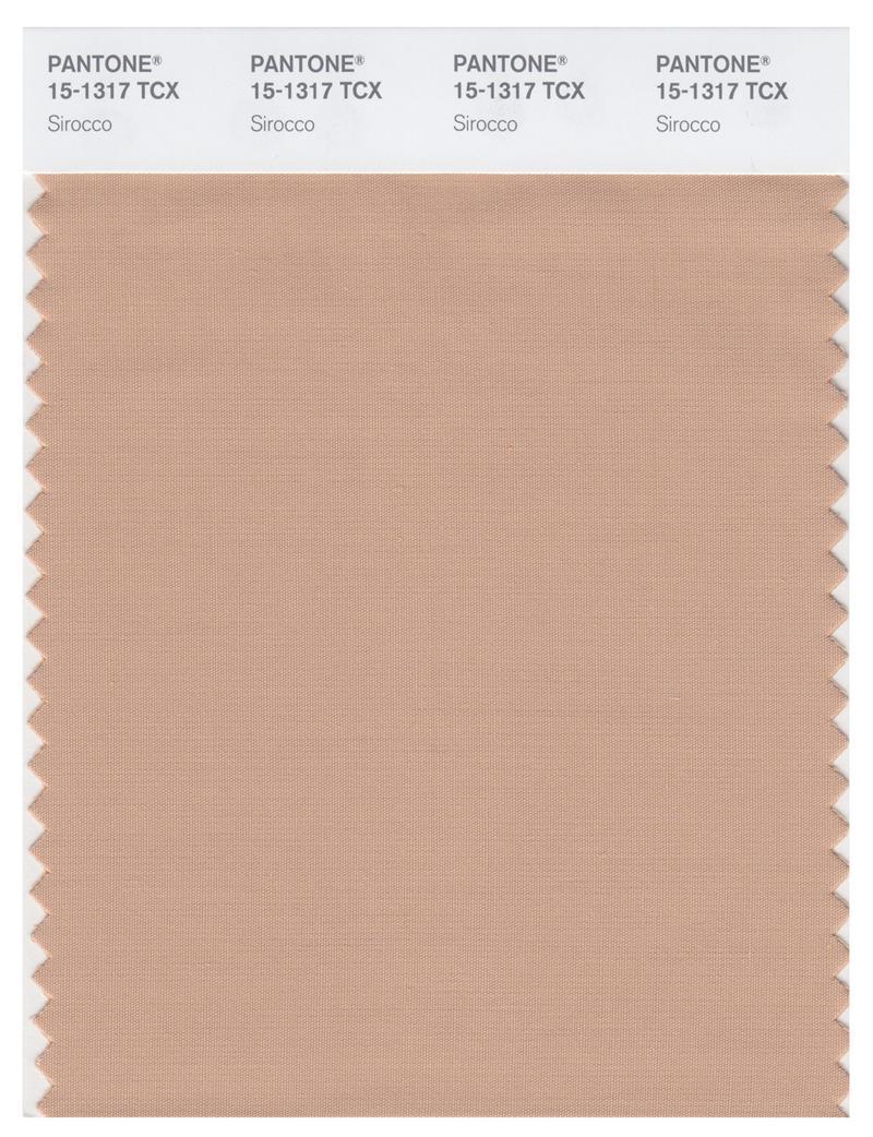 Pantone Smart 15-1317 TCX Color Swatch Card | Sirocco | Magazine Cafe ...