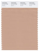 Pantone Smart 15-1317 TCX Color Swatch Card | Sirocco