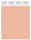 Pantone Smart 15-1319 TCX Color Swatch Card | Almost Apricot