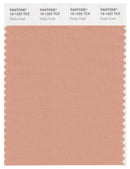 Pantone Smart 15-1322 TCX Color Swatch Card | Dusty Coral