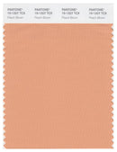 Pantone Smart 15-1327 TCX Color Swatch Card | Peach Bloom