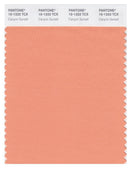 Pantone Smart 15-1333 TCX Color Swatch Card | Canyon Sunset