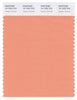 Pantone Smart 15-1333 TCX Color Swatch Card | Canyon Sunset