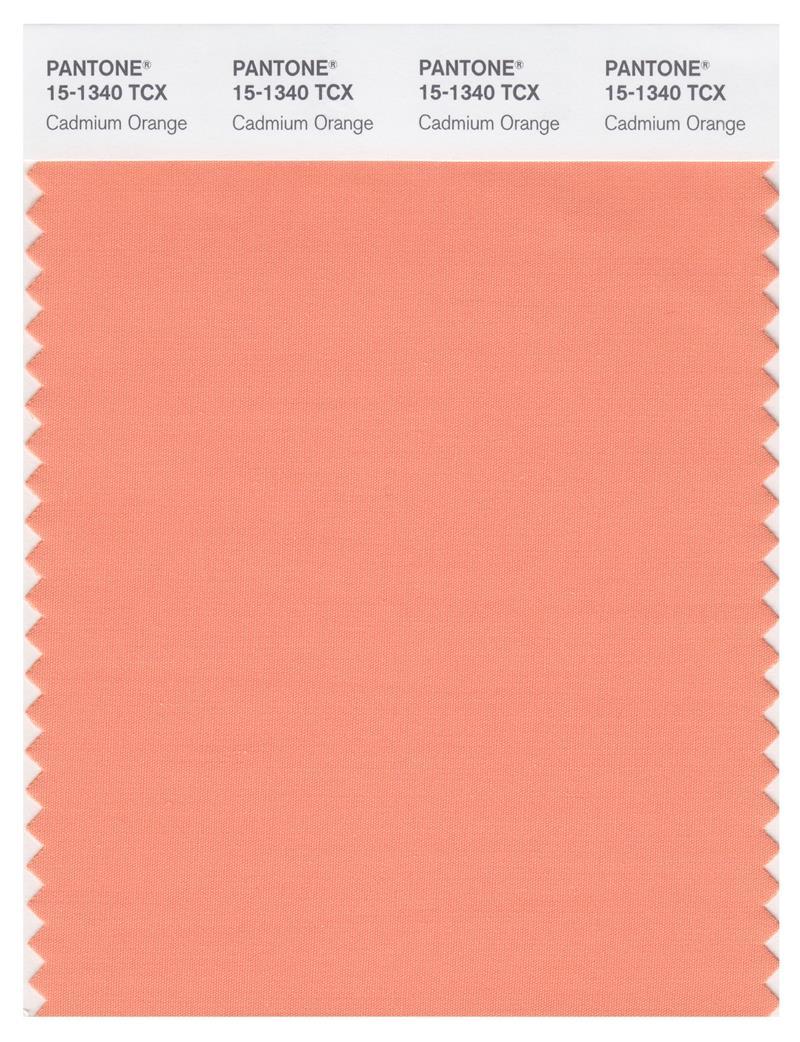 Pantone Smart 15-1340 TCX Color Swatch Card | Cadmium Orange