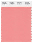 Pantone Smart 15-1435 TCX Color Swatch Card | Desert Flower