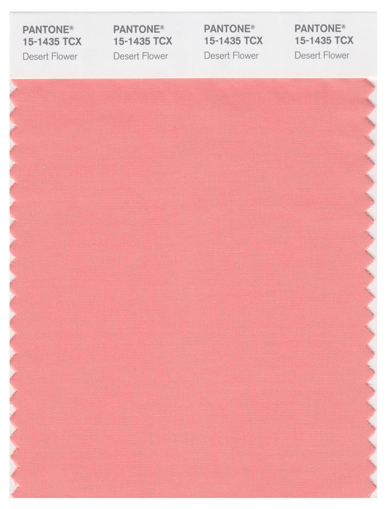 Pantone Smart 15-1435 TCX Color Swatch Card | Desert Flower
