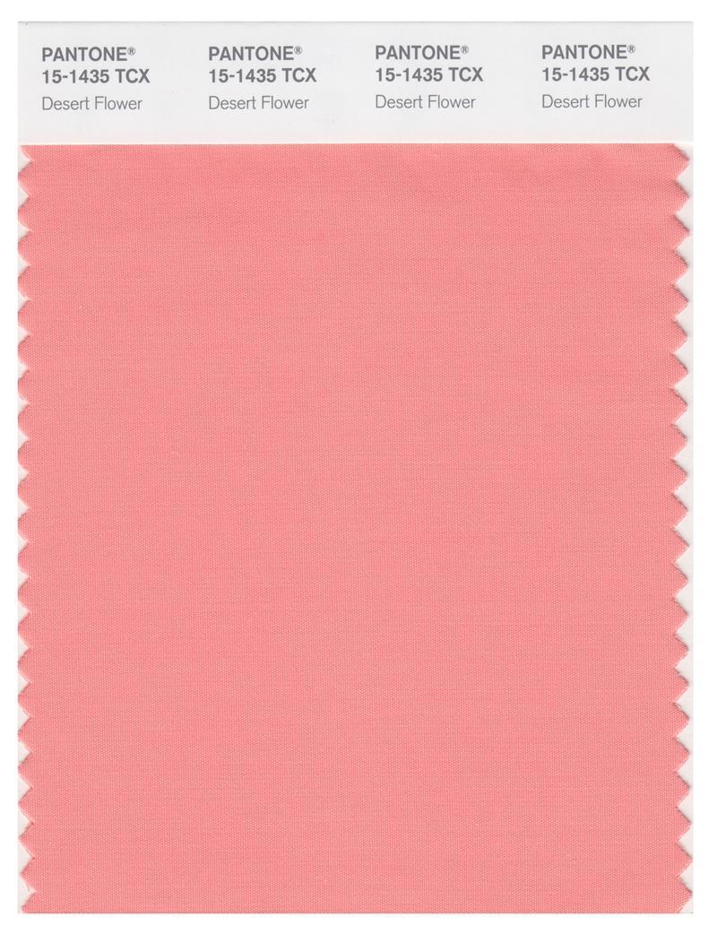 Pantone Smart 15-1435 TCX Color Swatch Card | Desert Flower