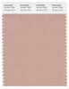 Pantone Smart 15-1511 TCX Color Swatch Card | Mahogany Rose