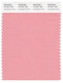 Pantone Smart 15-1621 TCX Color Swatch Card | Candlelight Peach