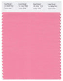Pantone Smart 15-1624 TCX Color Swatch Card | Conch Shell
