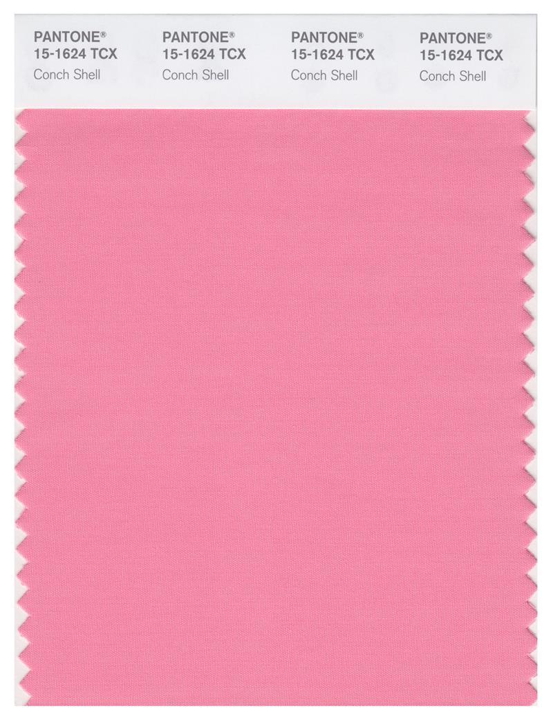 Pantone Smart 15-1624 TCX Color Swatch Card | Conch Shell