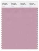 Pantone Smart 15-1906 TCX Color Swatch Card | Zephyr