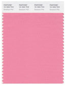 Pantone Smart 15-1922 TCX Color Swatch Card | Geranium Pink