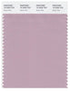 Pantone Smart 15-2205 TCX Color Swatch Card | Dawn Pink