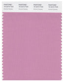 Pantone Smart 15-2210 TCX Color Swatch Card | Orchid Smoke