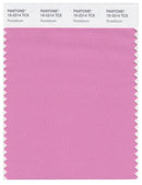 Pantone Smart 15-2214 TCX Color Swatch Card | Rosebloom