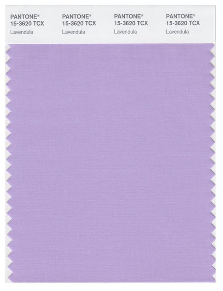 15-3620_lavendula_1_grande.jpg