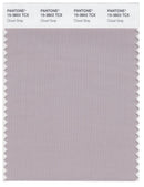Pantone Smart 15-3802 TCX Color Swatch Card | Cloud Gray
