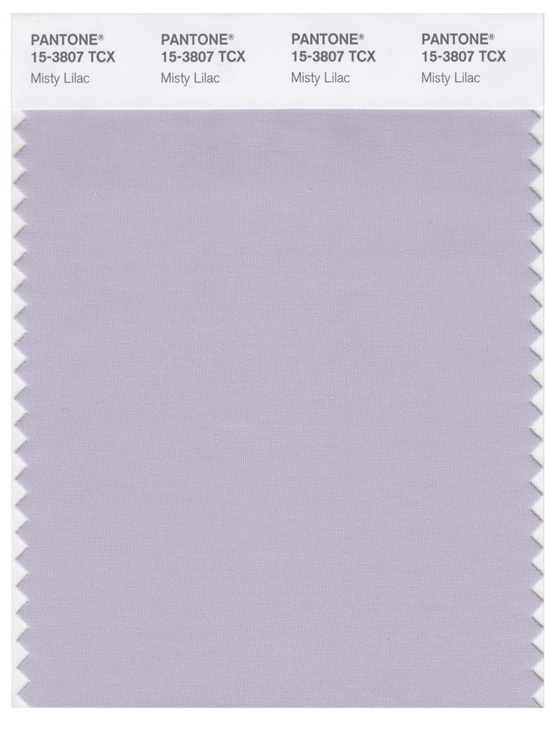 Pantone Smart 15-3807 TCX Color Swatch Card | Misty Lilac