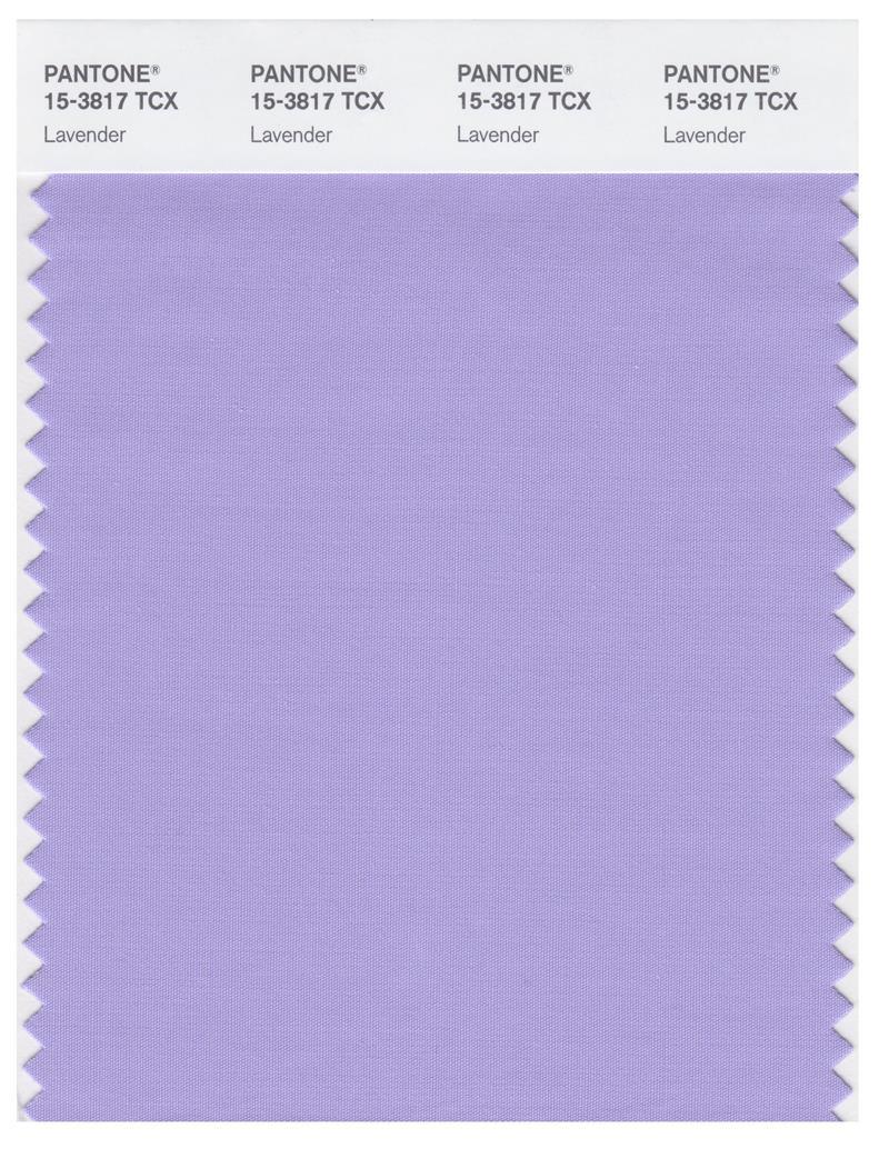 Pantone Smart 15-3817 TCX Color Swatch Card | Lavender