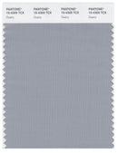 Pantone Smart 15-4305 TCX Color Swatch Card | Quarry