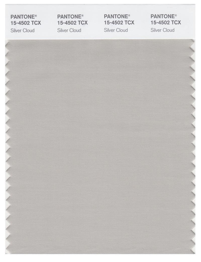 Pantone Smart 15-4502 TCX Color Swatch Card | Silver Cloud