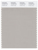 Pantone Smart 15-4503 TCX Color Swatch Card | Chateau Gray