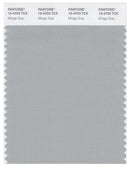 Pantone Smart 15-4703 TCX Color Swatch Card | Mirage Gray