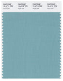 Pantone Smart 15-4715 TCX Color Swatch Card | Aqua Sea