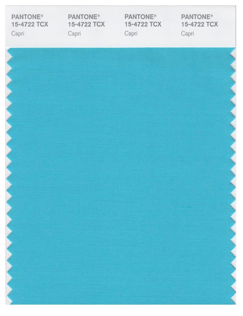 Pantone Smart 154722 TCX Color Swatch Card Capri Magazine Cafe Store NYC USA