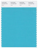 Pantone Smart 15-4722 TCX Color Swatch Card | Capri