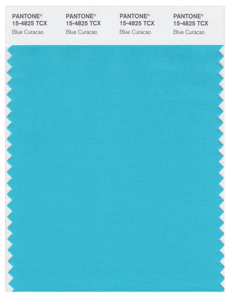 Pantone Smart 15-4825 TCX Color Swatch Card | Blue Curacao
